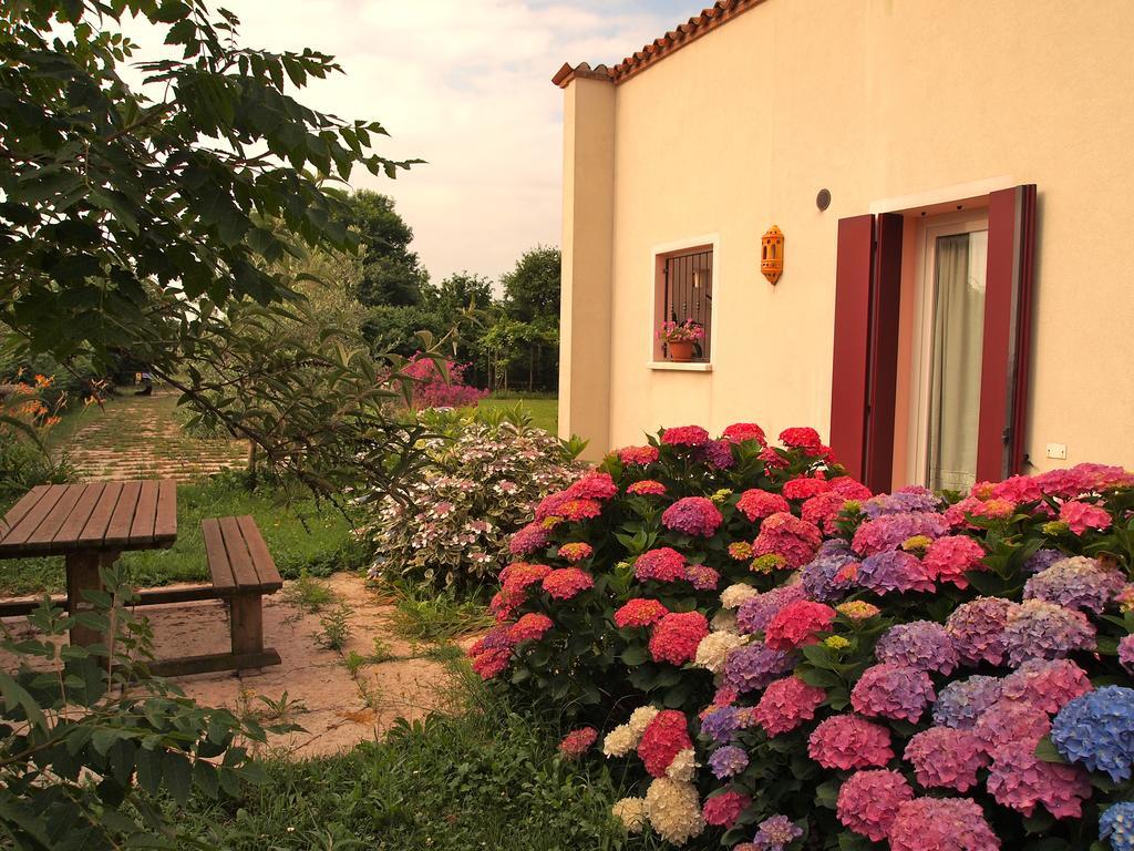 Agriturismo Il Magicorto Cassola Room photo