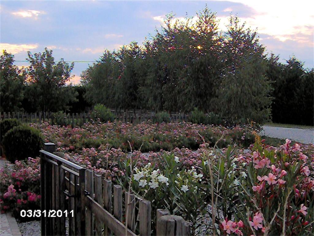 Agriturismo Il Magicorto Cassola Exterior photo